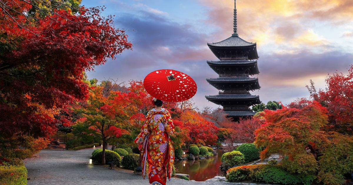 Deluxe 15-Day Best of Japan — Tokyo, Hiroshima & Osaka