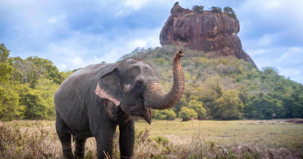 Premium 13-Day Private Sri Lanka Escape with Scenic Train Journey